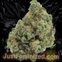 Just Feminized Northern Lights Fast V Smoke Buds Weed Ganja Skunk Dope Pot Images Pics Nuggets