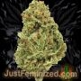 Just Feminized OG Kush CBD Smoke Buds Weed Ganja Skunk Dope Pot Images Pics Nuggets