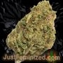 Just Feminized Original Lowryder 2 Auto Smoke Buds Weed Ganja Skunk Dope Pot Images Pics Nuggets