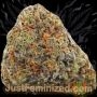 Just Feminized Purple Gelato Smoke Buds Weed Ganja Skunk Dope Pot Images Pics Nuggets