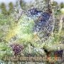 Purple Haze by Just Feminized THC Content Potency Strength CBD Height Yield Flowering Time Indica Sativa Genetics
