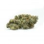 Cannabis Seeds Outlet Weed Strain Bubba Kush Auto Feminized Marijuana Seeds Original Collector Souvenir Authentic Packaging Pack