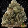 Just Feminized Sour Cheese Smoke Buds Weed Ganja Skunk Dope Pot Images Pics Nuggets