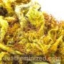 Strawberry NL5 Mist by Just Feminized THC Content Potency Strength CBD Height Yield Flowering Time Indica Sativa Genetics