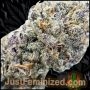Just Feminized Platinum Gorilla Cookies Fast V Smoke Buds Weed Ganja Skunk Dope Pot Images Pics Nuggets