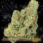 Just Feminized OG Kush Smoke Buds Weed Ganja Skunk Dope Pot Images Pics Nuggets