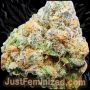 Just Feminized Banana Punch Fast V Smoke Buds Weed Ganja Skunk Dope Pot Images Pics Nuggets