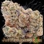 Just Feminized Apple Tartz Smoke Buds Weed Ganja Skunk Dope Pot Images Pics Nuggets