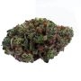 Barneys Farm Lemon Drizzle Smoke Buds Weed Ganja Skunk Dope Pot Images Pics Nuggets