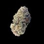Bubble Bath Feminized by Empire Seed Bank THC Content Potency Strength CBD Height Yield Flowering Time Indica Sativa Genetics