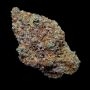Empire Dragon Feminized by Empire Seed Bank THC Content Potency Strength CBD Height Yield Flowering Time Indica Sativa Genetics