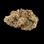 Fatso Feminized by Empire Seed Bank THC Content Potency Strength CBD Height Yield Flowering Time Indica Sativa Genetics