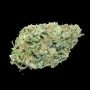 Glitter Bomb Feminized by Empire Seed Bank THC Content Potency Strength CBD Height Yield Flowering Time Indica Sativa Genetics