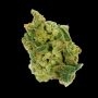 Grape Stomper Feminized by Empire Seed Bank THC Content Potency Strength CBD Height Yield Flowering Time Indica Sativa Genetics