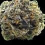 Muddy Waters Feminized by Empire Seed Bank THC Content Potency Strength CBD Height Yield Flowering Time Indica Sativa Genetics
