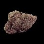RS11 Auto Feminized by Empire Seed Bank THC Content Potency Strength CBD Height Yield Flowering Time Indica Sativa Genetics