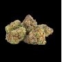 Slapz Feminized by Empire Seed Bank THC Content Potency Strength CBD Height Yield Flowering Time Indica Sativa Genetics
