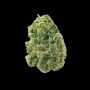 Zlushi Feminized by Empire Seed Bank THC Content Potency Strength CBD Height Yield Flowering Time Indica Sativa Genetics