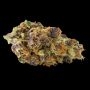 Zoap Auto Feminized by Empire Seed Bank THC Content Potency Strength CBD Height Yield Flowering Time Indica Sativa Genetics