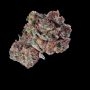 Zoinks Feminized by Empire Seed Bank THC Content Potency Strength CBD Height Yield Flowering Time Indica Sativa Genetics