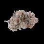 Gas Face Feminized by Empire Seed Bank THC Content Potency Strength CBD Height Yield Flowering Time Indica Sativa Genetics