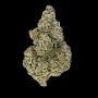 Crazy Roses Fast V Feminized Marijuana Strain by Growers Choice For Sale Online at Cannabis Seeds Outlet
