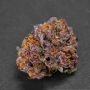 Jungle Lava Feminized by Original Sensible Seeds THC Content Potency Strength CBD Height Yield Flowering Time Indica Sativa Gene