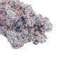 Dr Krippling Chocberry CBD Auto Smoke Buds Weed Ganja Skunk Dope Pot Images Pics Nuggets