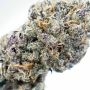 Dr Krippling Mint Glac Smoke Buds Weed Ganja Skunk Dope Pot Images Pics Nuggets
