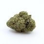Dr Krippling Mint Glac XXL Auto Smoke Buds Weed Ganja Skunk Dope Pot Images Pics Nuggets