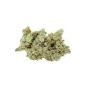 Dr Krippling Candy Mintz Smoke Buds Weed Ganja Skunk Dope Pot Images Pics Nuggets