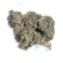 Dr Krippling Ninja Zkittlez Smoke Buds Weed Ganja Skunk Dope Pot Images Pics Nuggets