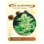 Amazonia Regular Marijuana Strain by De Sjamaan Seeds For Sale Online at Cannabis Seeds Outlet