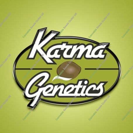 Candy Gas x Melon Feminized Marijuana Strain by Karma Genetics For Sale Online at Cannabis Seeds Outlet