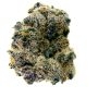 Black Farm Genetix Cannabis Strain Bubba Storm Feminized Marijuana Seeds Original Collector Souvenir Authentic Packaging Packs