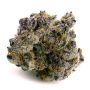 Black Farm Genetix Motor Crashers Smoke Buds Weed Ganja Skunk Dope Pot Images Pics Nuggets