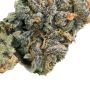 Propaganja Seeds Pineapple Magnum Smoke Buds Weed Ganja Skunk Dope Pot Images Pics Nuggets