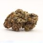 Propaganja Seeds Red Dwarf Auto Smoke Buds Weed Ganja Skunk Dope Pot Images Pics Nuggets