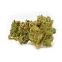 Propaganja Seeds Special Rum Auto Smoke Buds Weed Ganja Skunk Dope Pot Images Pics Nuggets