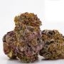 Propaganja Seeds Tipsy Ape Smoke Buds Weed Ganja Skunk Dope Pot Images Pics Nuggets