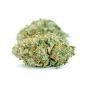 Propaganja Seeds Trekkie Sweets Smoke Buds Weed Ganja Skunk Dope Pot Images Pics Nuggets