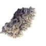 Always Be Flowering Malvazia Smoke Buds Weed Ganja Skunk Dope Pot Images Pics Nuggets