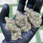 Always Be Flowering Diamond Runtz Smoke Buds Weed Ganja Skunk Dope Pot Images Pics Nuggets