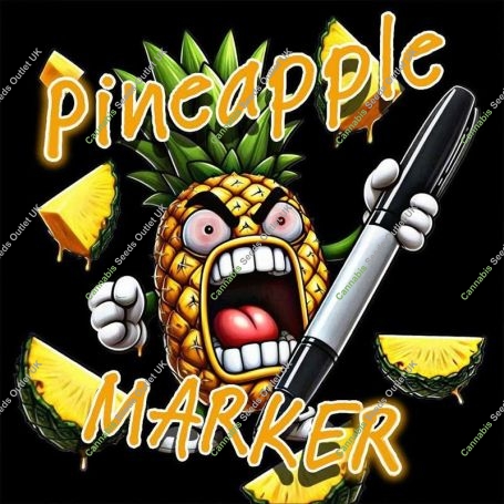 Pineapple Marker Feminized Marijuana Strain by Holy Smoke Seeds For Sale Online at Cannabis Seeds Outlet