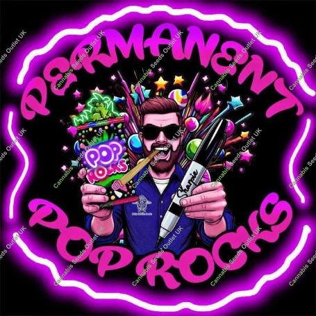 Permanent Pop Rocks Feminized Marijuana Strain by Holy Smoke Seeds For Sale Online at Cannabis Seeds Outlet