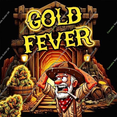 Gold Fever Feminized Marijuana Strain by Holy Smoke Seeds For Sale Online at Cannabis Seeds Outlet