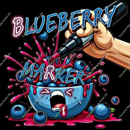 Blueberry Marker Feminized Marijuana Strain by Holy Smoke Seeds For Sale Online at Cannabis Seeds Outlet