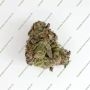 Serious Seeds Seriotica Smoke Buds Weed Ganja Skunk Dope Pot Images Pics Nuggets
