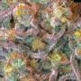 Seriotica Feminized by Serious Seeds THC Content Potency Strength CBD Height Yield Flowering Time Indica Sativa Genetics