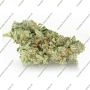 Serious Seeds Kalibabba Smoke Buds Weed Ganja Skunk Dope Pot Images Pics Nuggets
